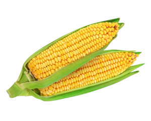 sweet-corn-removebg-preview